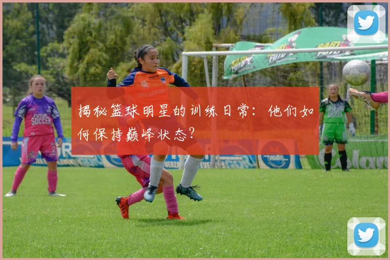 揭秘篮球明星的训练日常：他们如何保持巅峰状态？