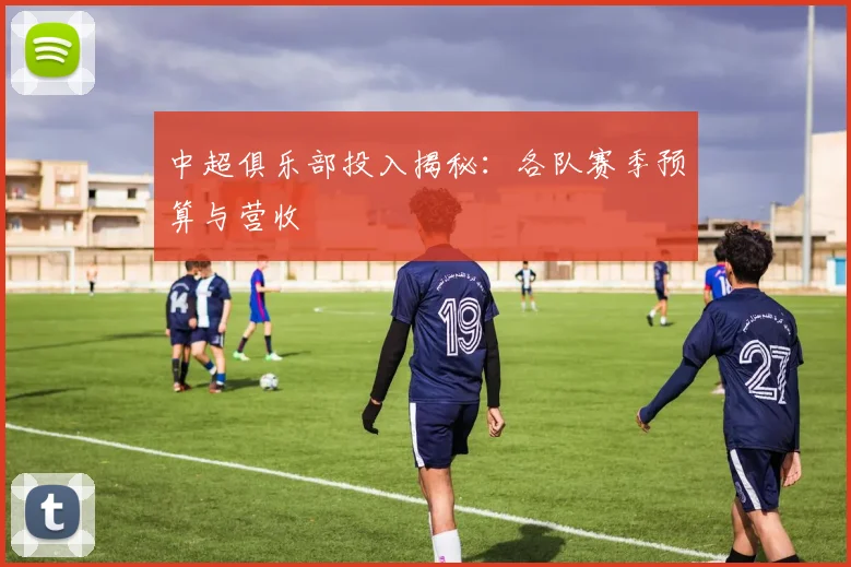 中超俱乐部投入揭秘：各队赛季预算与营收